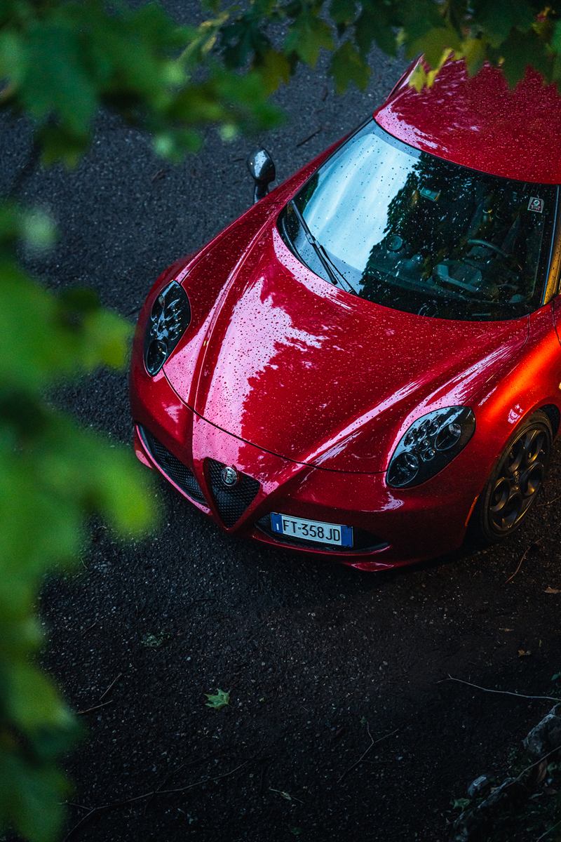 Red Alfa Romeo 4C seen from above through green leaves